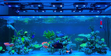 Lade das Bild in den Galerie-Viewer, NooPsyche K7 PRO III Full Set Reef Aquarium LED Coral Light

