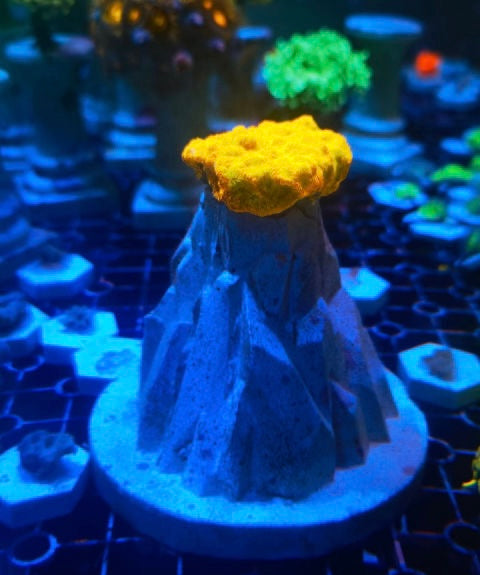 Volcanic Coral Pedestal